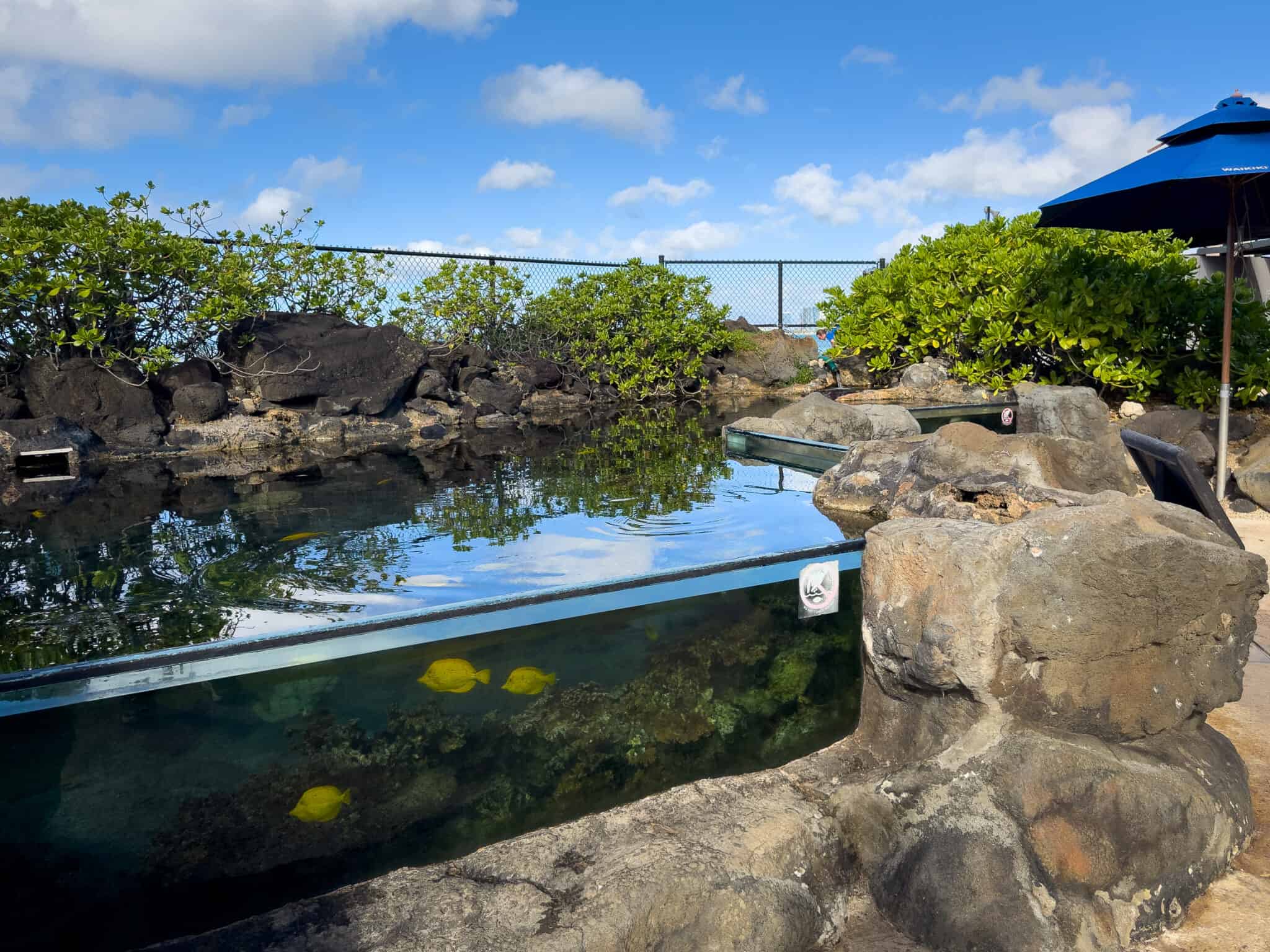 Waikiki Aquarium - Go Oahu